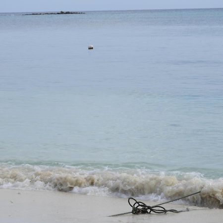 Karaa Village Thoddoo-Atoll Exterior foto