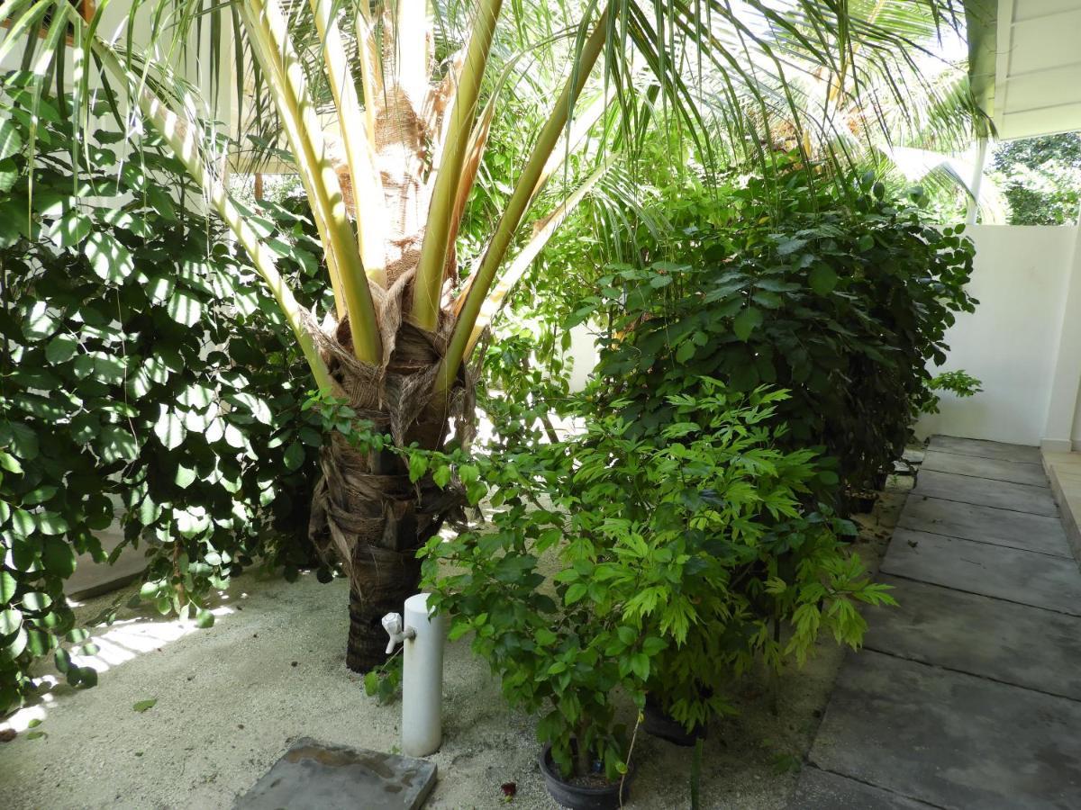Karaa Village Thoddoo-Atoll Exterior foto