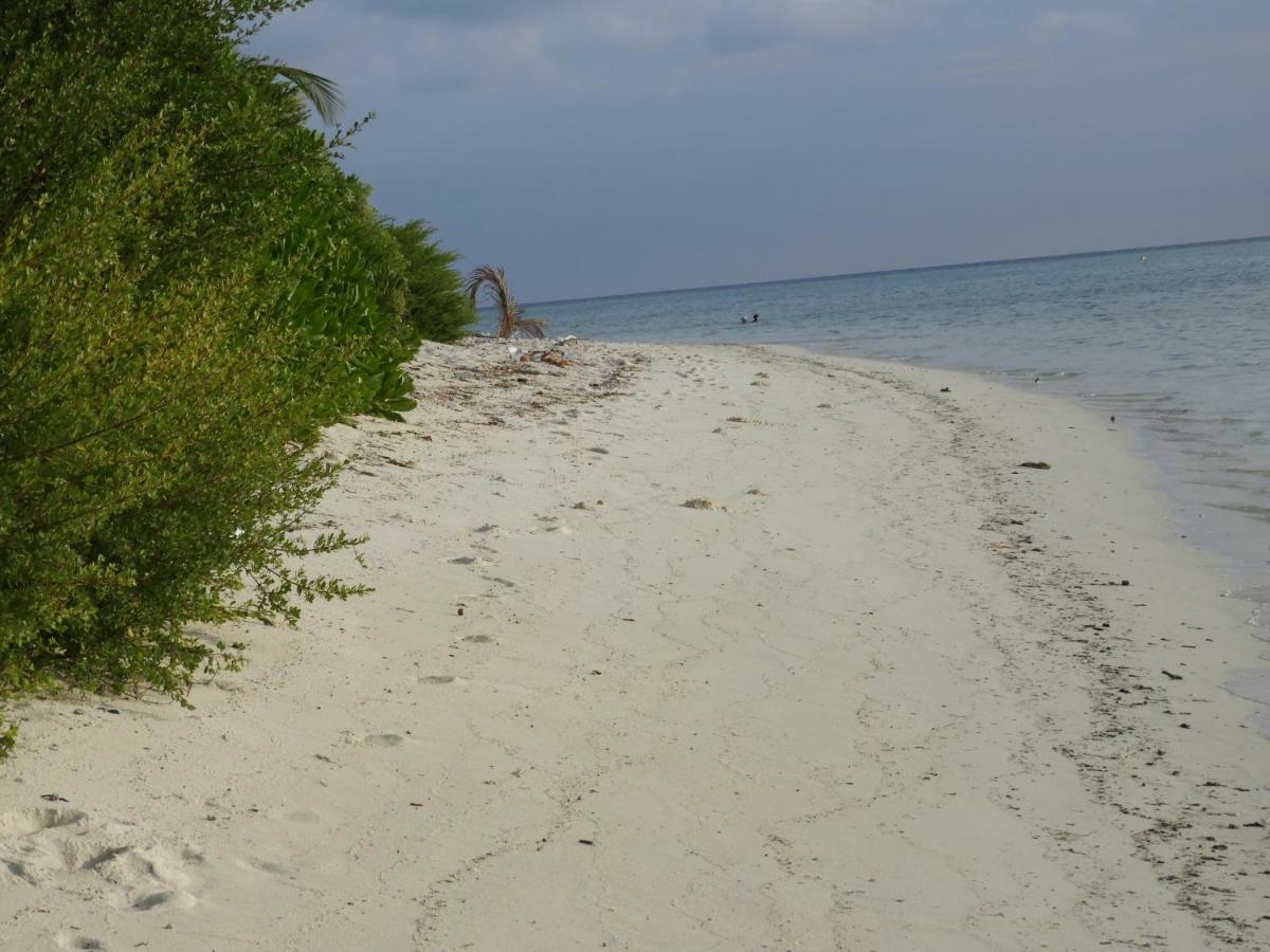 Karaa Village Thoddoo-Atoll Exterior foto