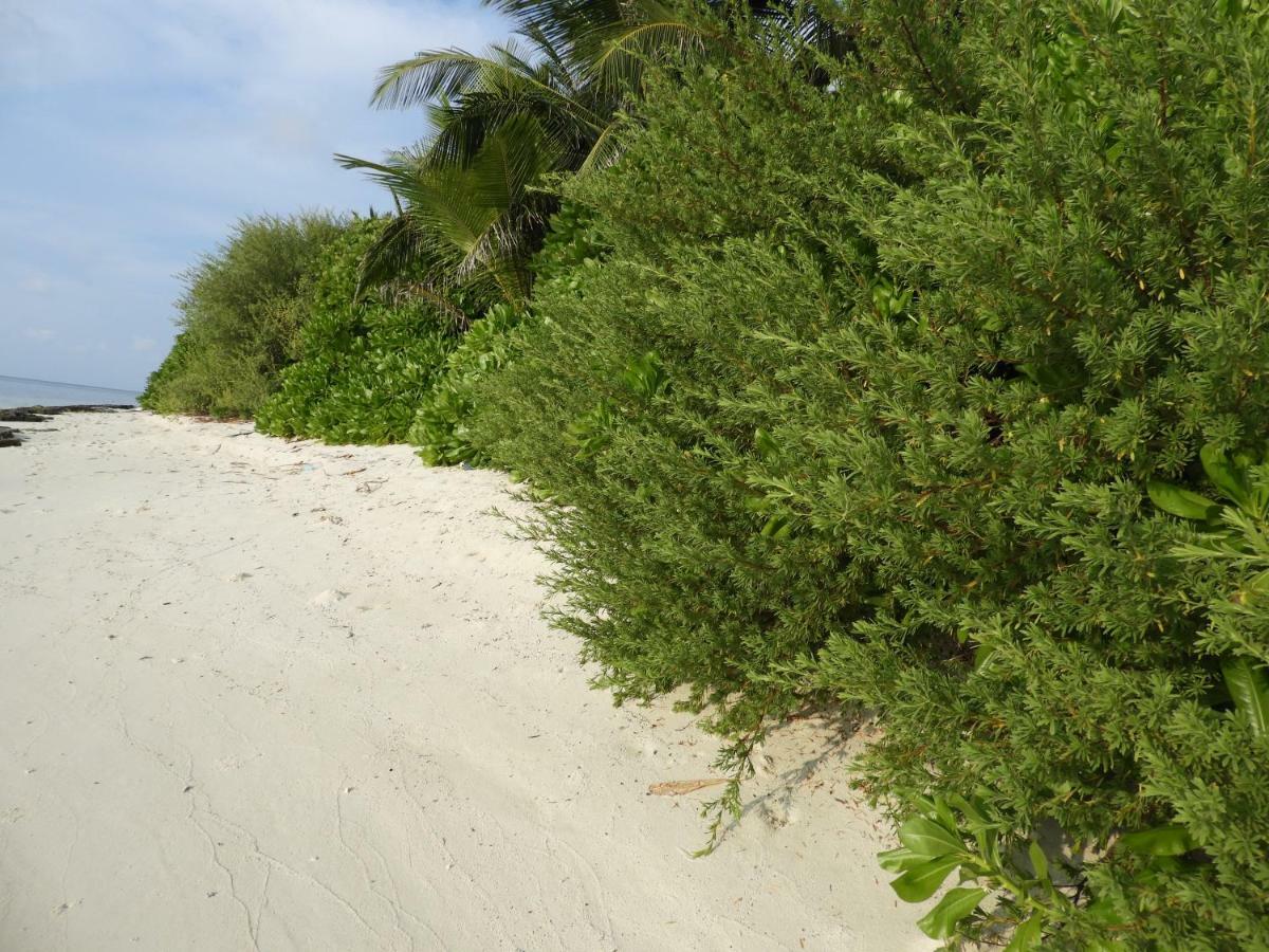 Karaa Village Thoddoo-Atoll Exterior foto