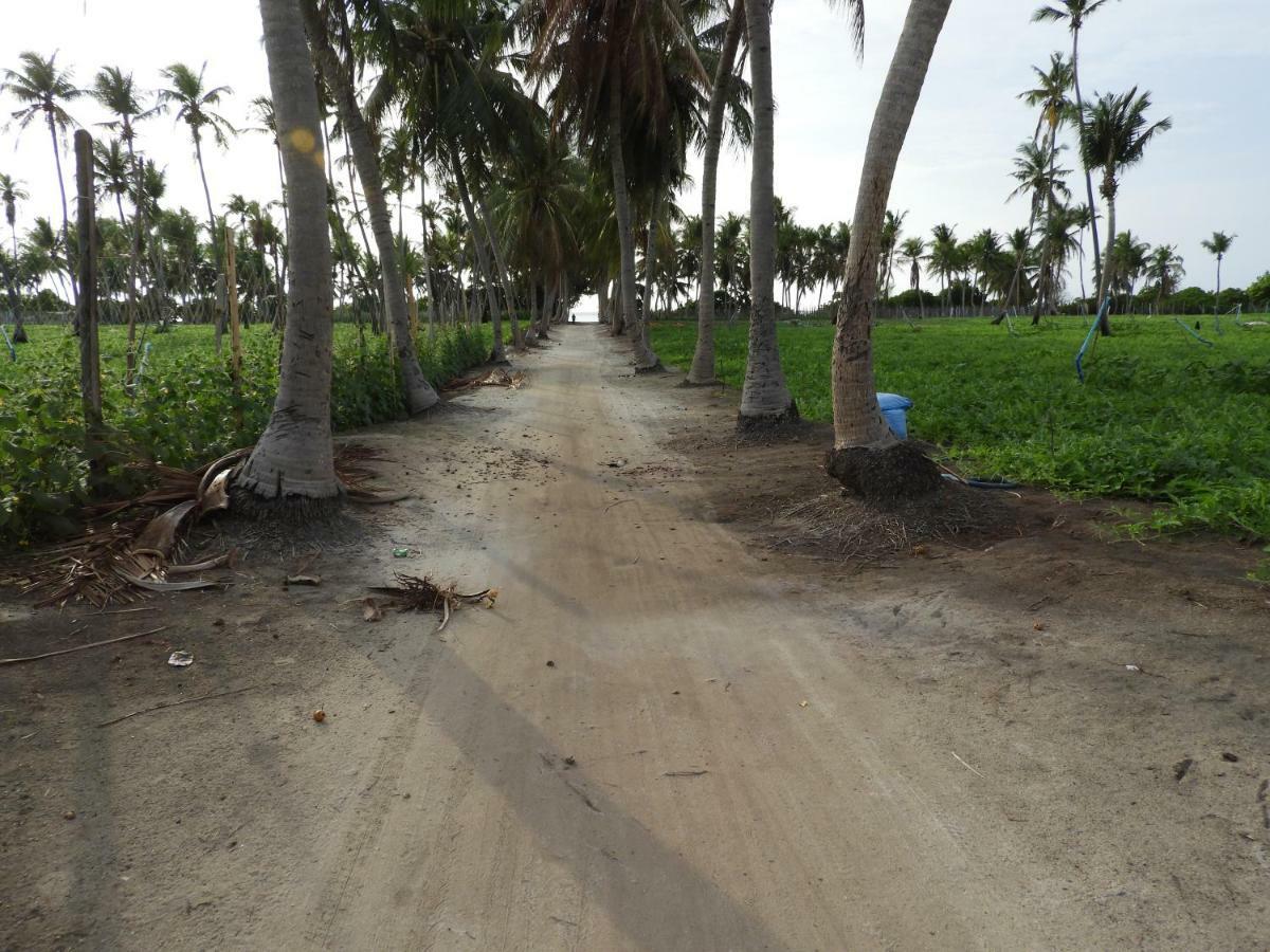 Karaa Village Thoddoo-Atoll Exterior foto